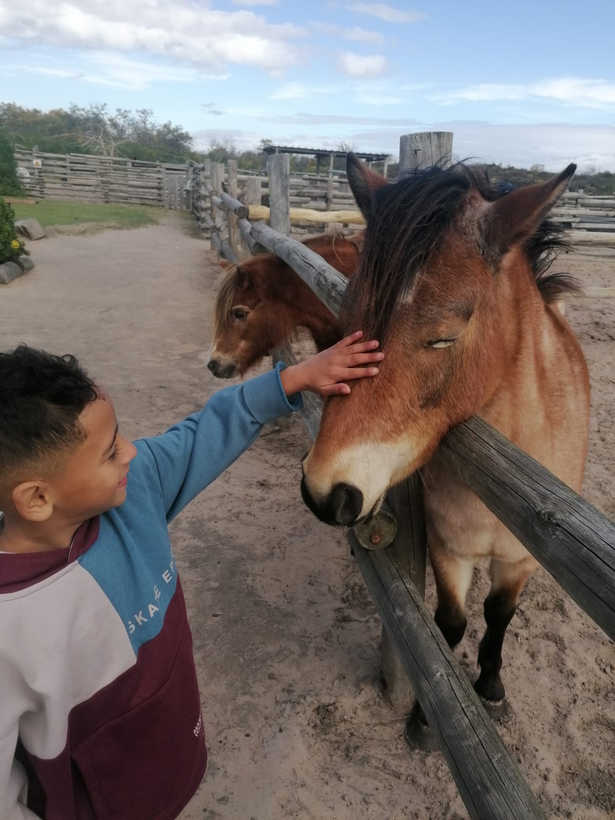 Boy stroking a horse over a wooden fence