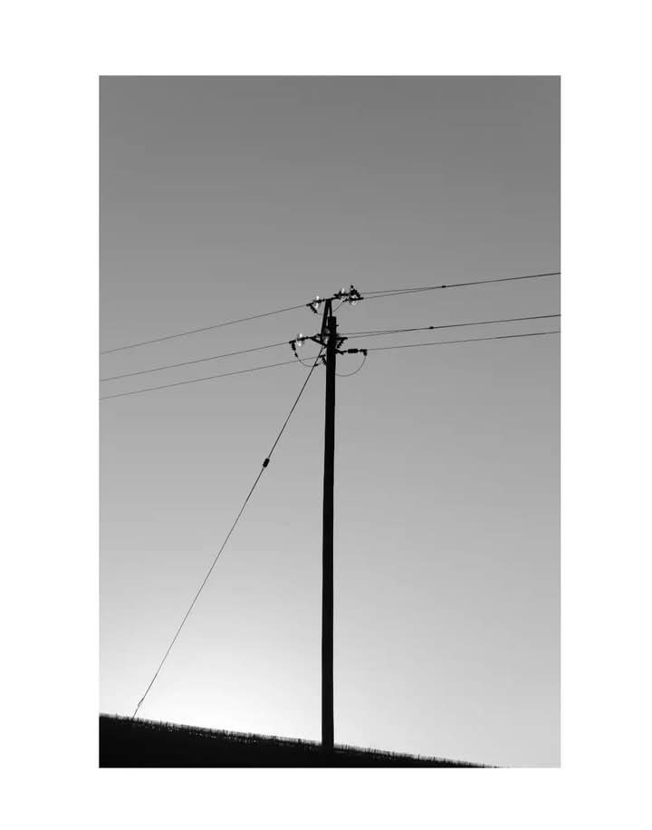 Black and white telephone pole against a pale sky